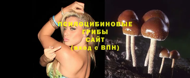 где можно купить наркотик  Каменск-Уральский  Псилоцибиновые грибы MAGIC MUSHROOMS 